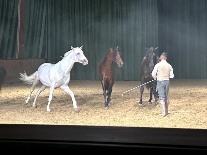 Imagine mare