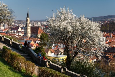 Updates from the GA at CEOI 2025 – Cluj-Napoca, Romania