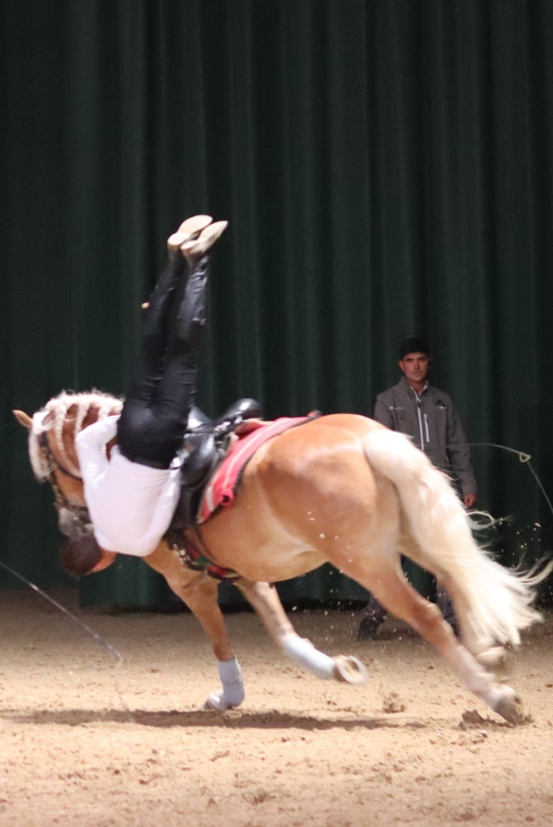 Imagine mare